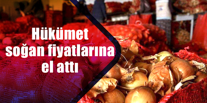 Hükümet soğan fiyatlarına el attı