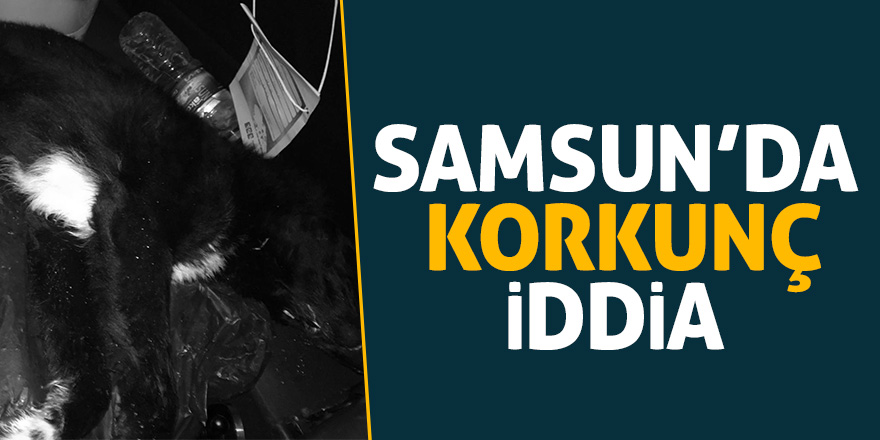 Samsun’da korkunç iddia 