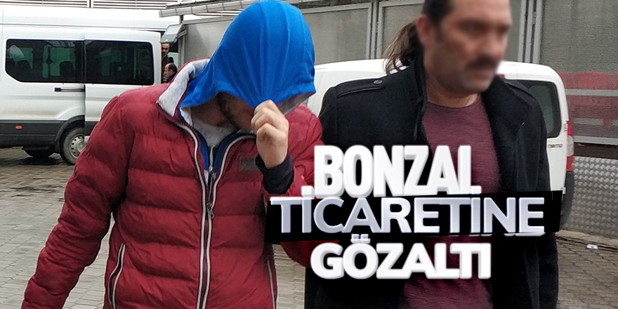 Bonzai ticaretine baskın! 1 kişi gözaltına alındı