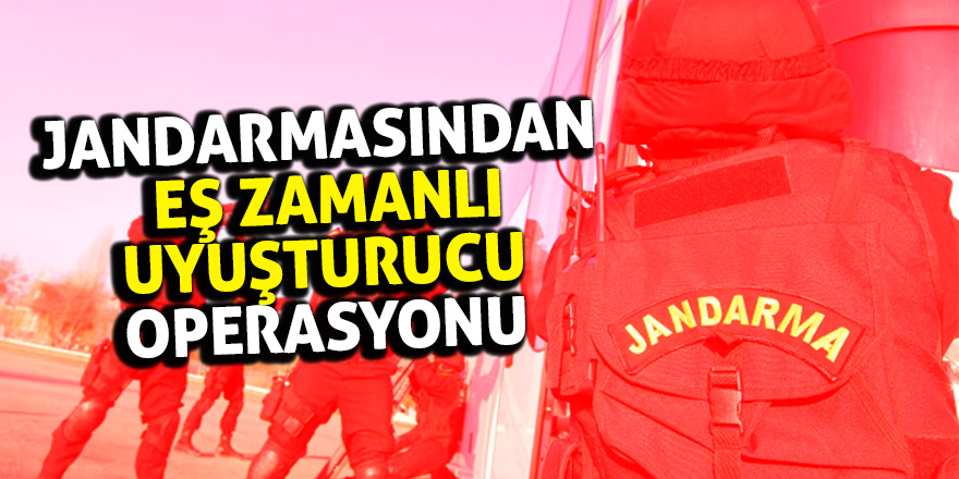 Jandarmasından eş zamanlı uyuşturucu operasyonu