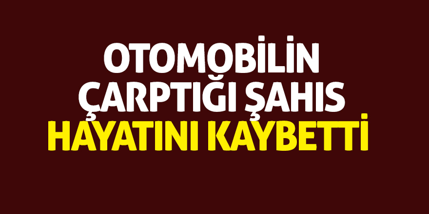 Aracın çarptığı şahıs hayatını kaybetti  