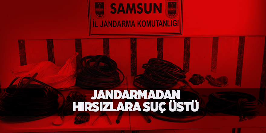 Jandarmadan hırsızlara suç üstü