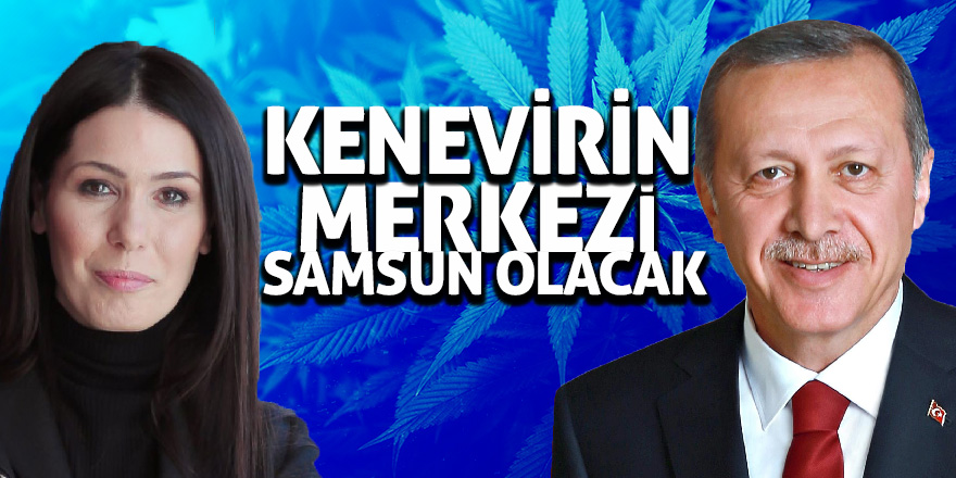 'Kenevirin merkezi Samsun olacak'