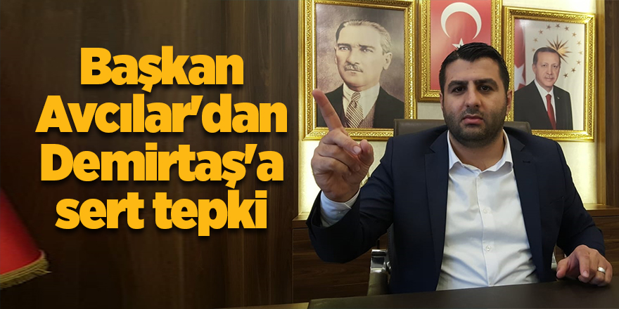 Başkan Avcılar'dan Demirtaş'a sert tepki