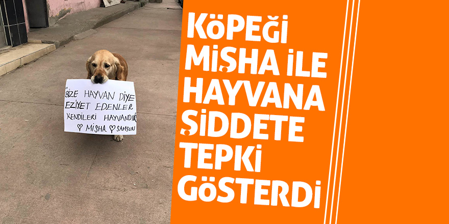 Köpeği Mişha ile hayvana şiddete tepki gösterdi