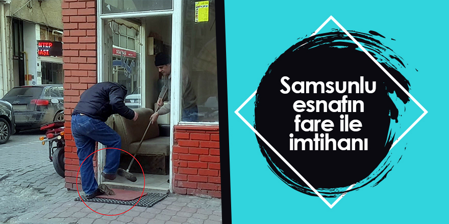 Samsunlu esnafın fare ile imtihanı