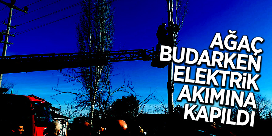 Ağaç budarken elektrik akımına kapıldı