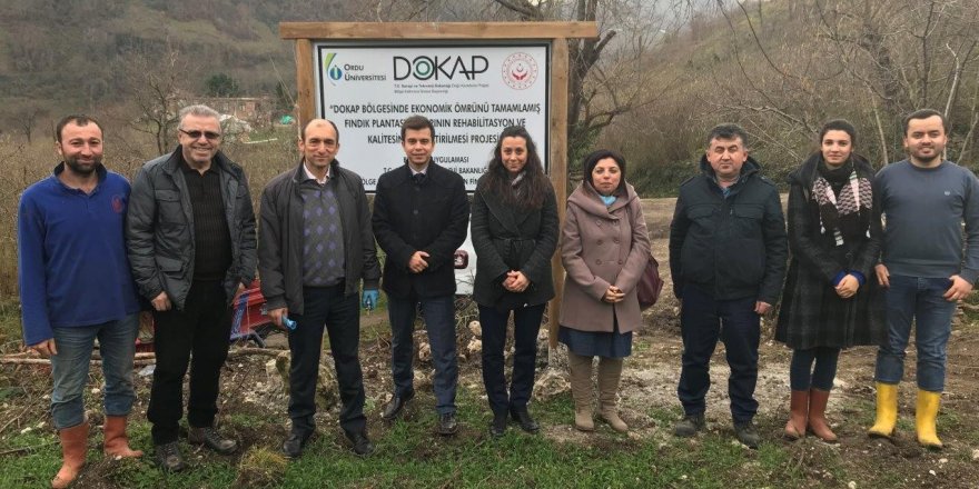 ODÜ'den fındık bahçelerinin yenilenmesine bilimsel destek O