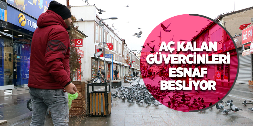 Yem bulmakta güçlük çeken yüzlerce güvercini çarşı esnafı doyuruyor