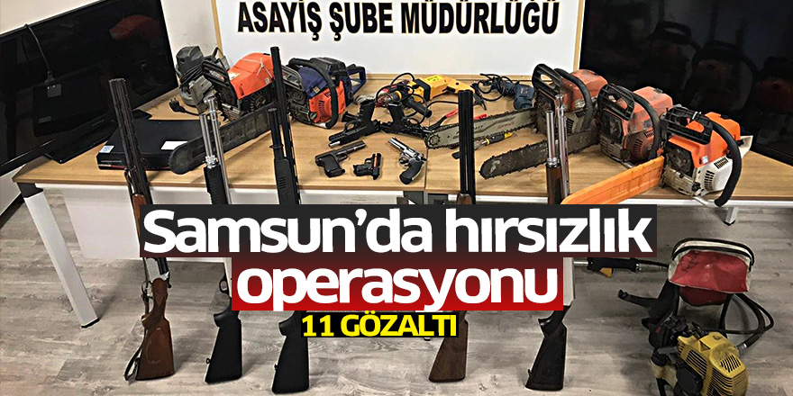 Samsun'da hırsızlık operasyonu: 11 gözaltı