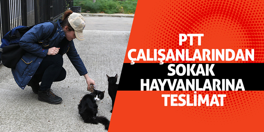 PTT çalışanlarından sokak hayvanlarına teslimat