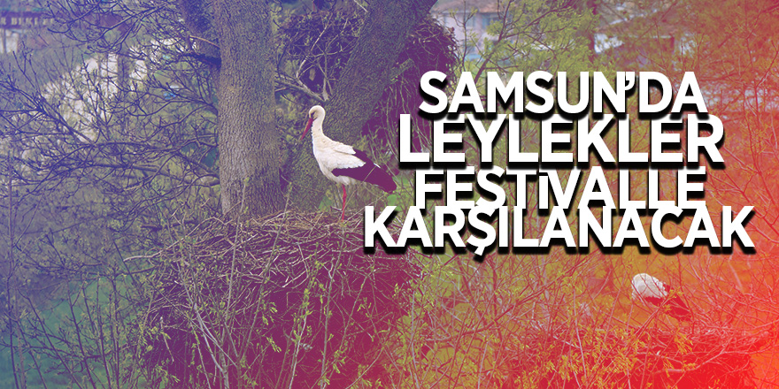 Samsun’da leylekler festivalle karşılanacak 