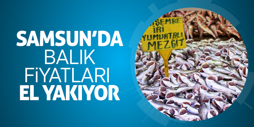 Samsun’da balık fiyatları el yakıyor