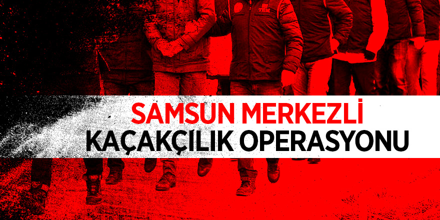 Samsun'da silah kaçakçılığı operasyonu: 4 gözaltı 