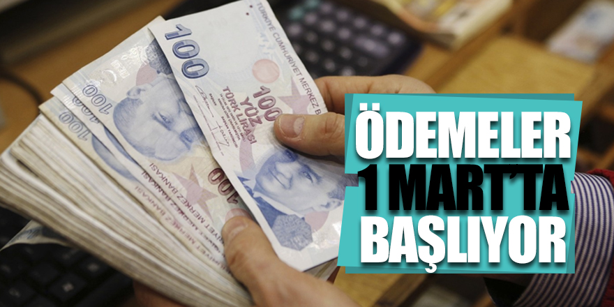 Elektrik desteği ödemesi 1 Mart'ta başlıyor