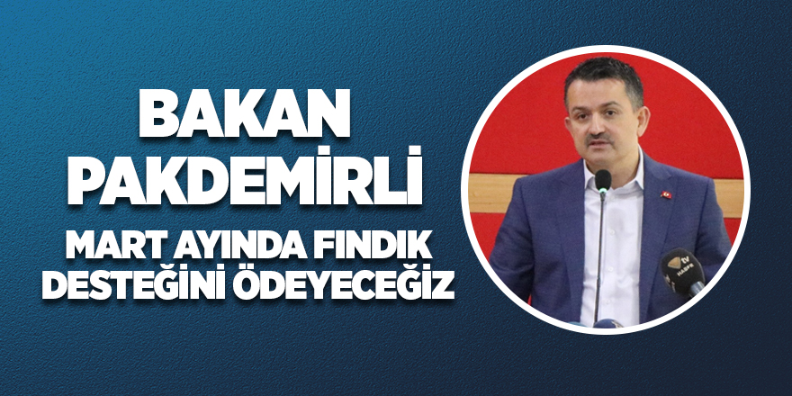 Fındık destek ödemeleri martta yapılacak