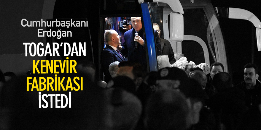 Cumhurbaşkanı Erdoğan Togar'dan kenevir fabrikası istedi