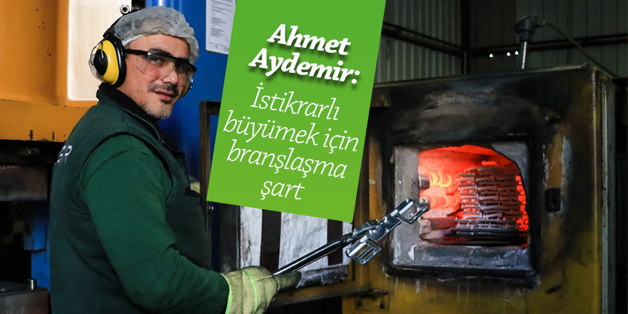 Aydemir: İstikrarlı büyümek için branşlaşma şart