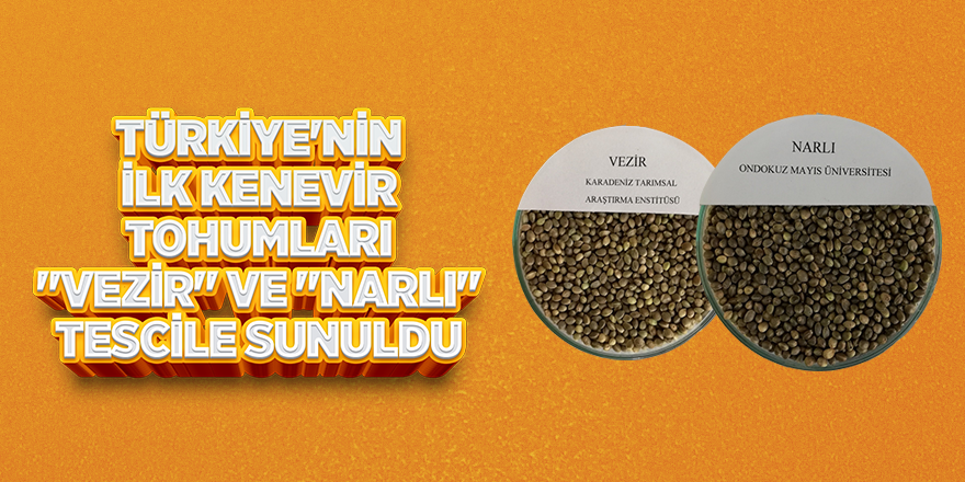 'Vezir' ve 'Narlı' tescil yolunda