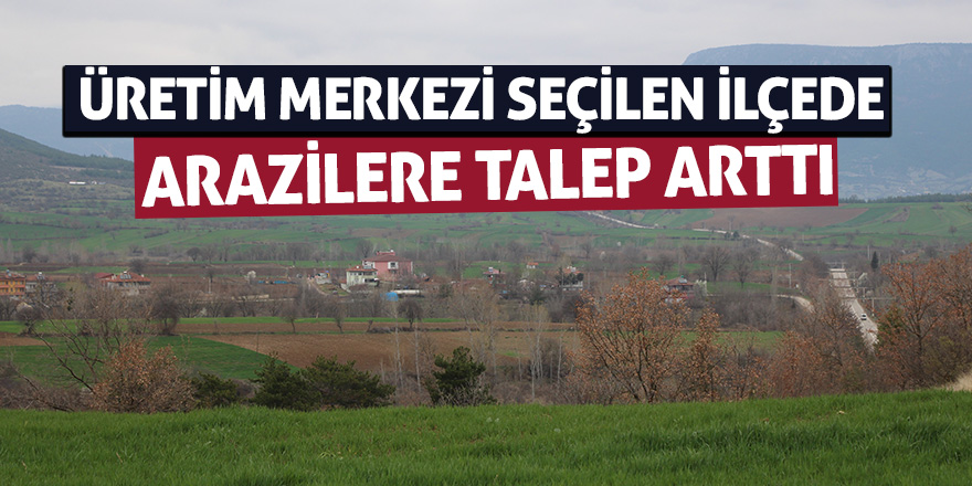 Türkiye'nin kenevir üretim merkezi seçilen ilçede arazilere talep arttı 