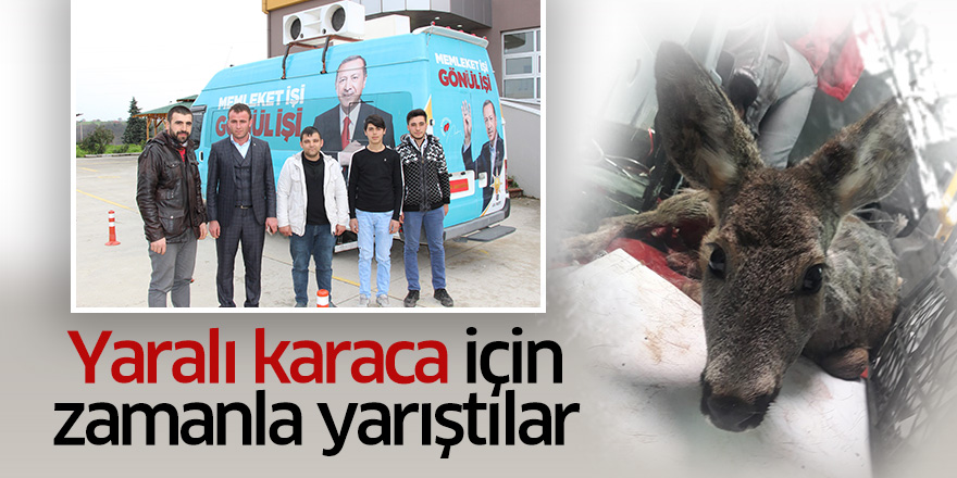 Yaralı karaca için zamanla yarıştılar