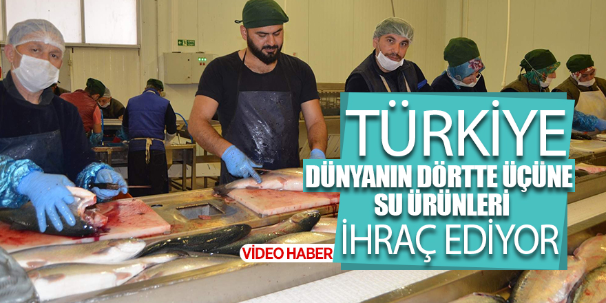 Türkiye dünyanın dörtte üçüne su ürünleri ihraç ediyor