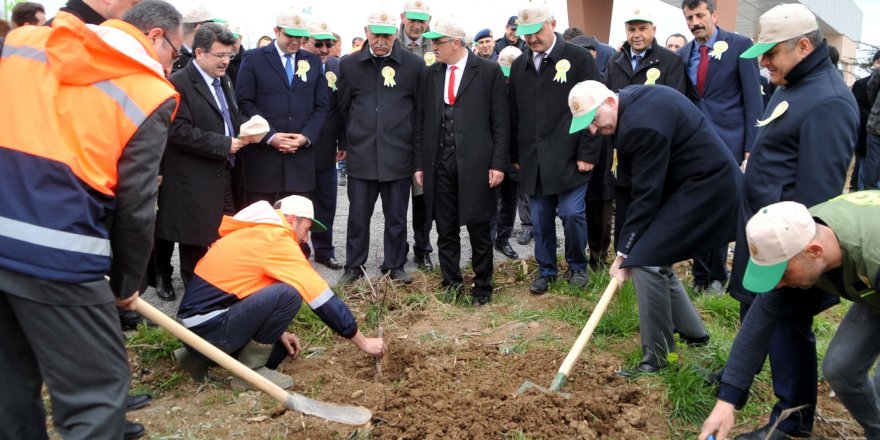 Adalet Ormanı'nda meyve fidanları toprakla buluşturuldu 