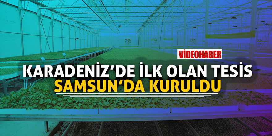 Samsun tüm Türkiye'nin fide ihtiyacını karşılamaya talip 