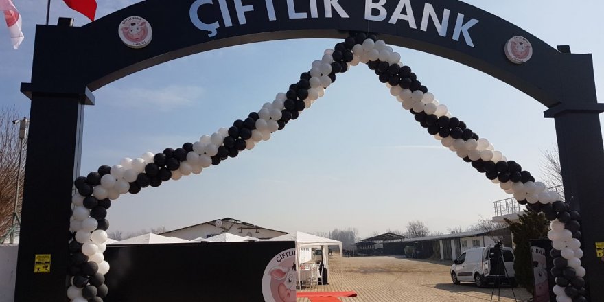 Çiftlik Bank soruşturmasında 48 şüpheli hakkında iddianame hazırlandı