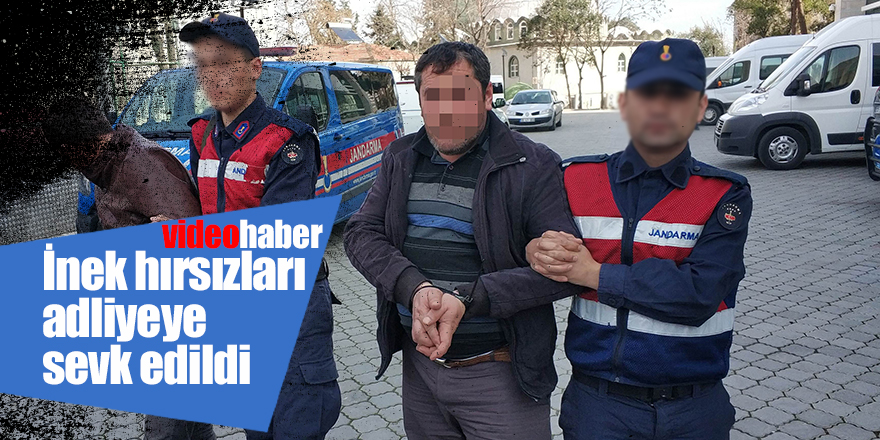 İnek hırsızları adliyeye sevk edildi