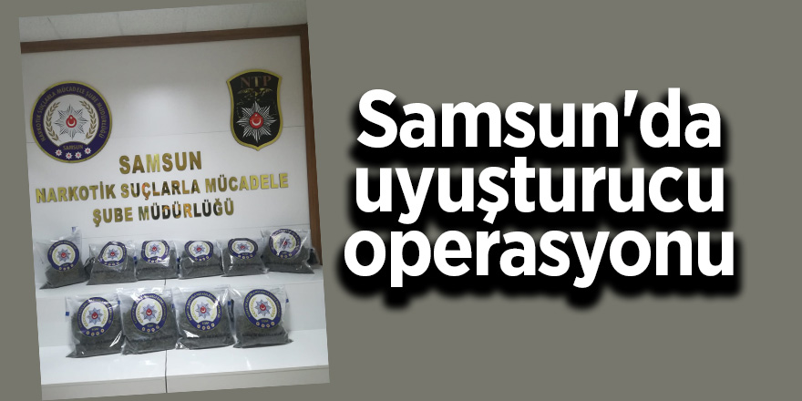 Samsun'da uyuşturucu operasyonu