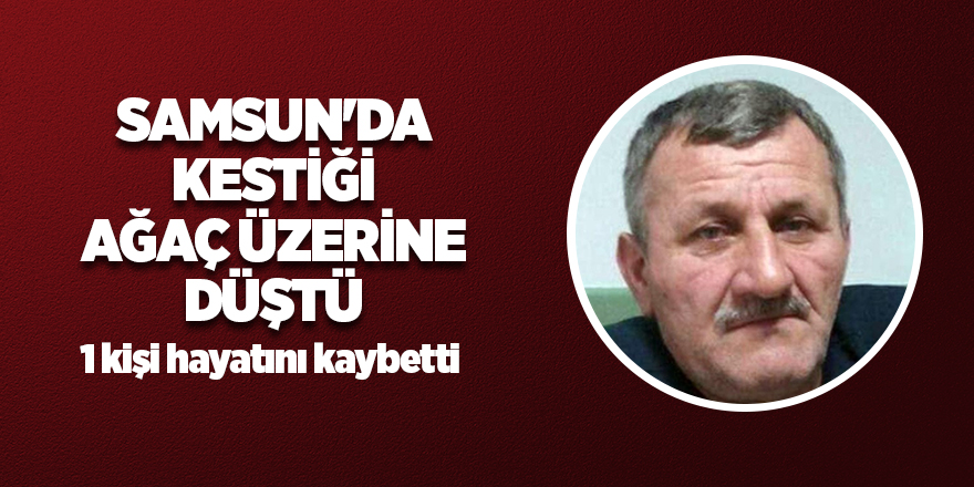 Samsun'da kestiği ağaç üzerine düştü: 1 kişi hayatını kaybetti