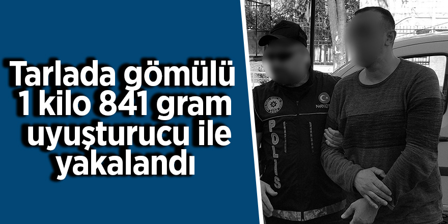 Tarlada gömülü 1 kilo 841 gram bonzaiyle yakalandı 