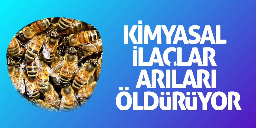 Kırmacı uyardı