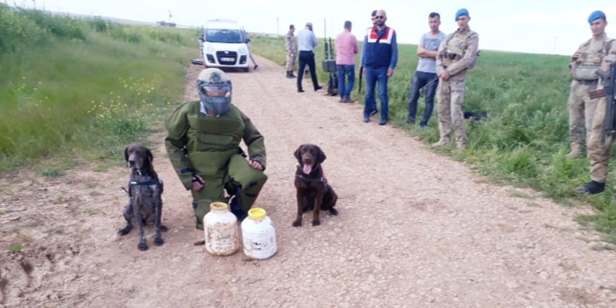 Sınırda 20 kilogram patlayıcı ele geçirildi