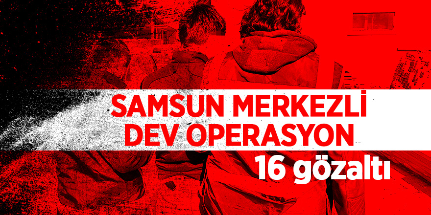 Samsun merkezli suç örgütüne operasyon: 16 gözaltı 