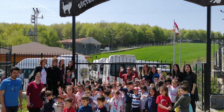 Anaokulu öğrencilerinden "Hayvan Sevgisi" Projesi