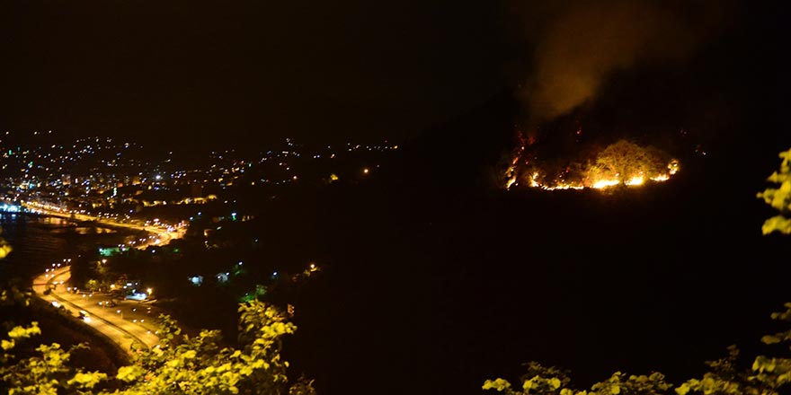 Giresun'da yangın