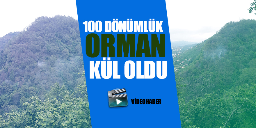 Giresun’da orman yangını