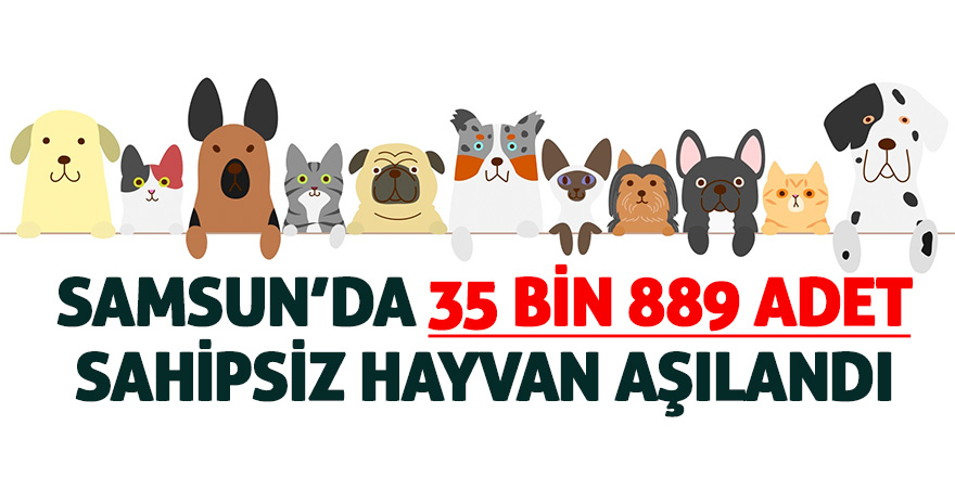 Samsun’da 35 bin 889 adet sahipsiz hayvan aşılandı 