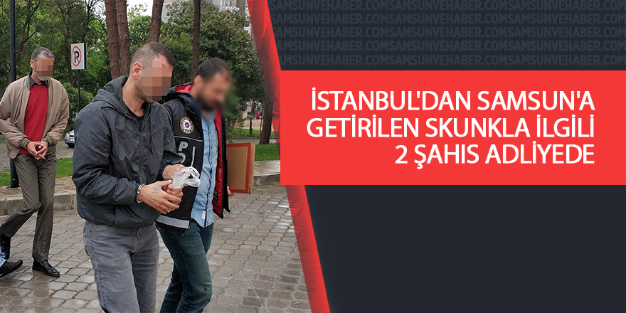 İstanbul'dan Samsun'a getirilen skunkla ilgili 2 şahıs adliyede