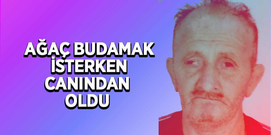 Ağaç budarken düşen yaşlı adam hayatını kaybetti 