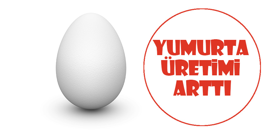 Yumurta üretimi arttı