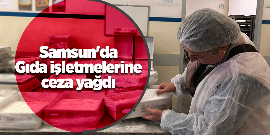 Gıda işletmelerine 353 bin 673 lira ceza