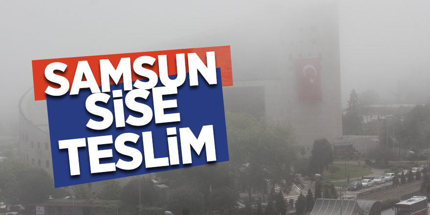 Samsun sise teslim