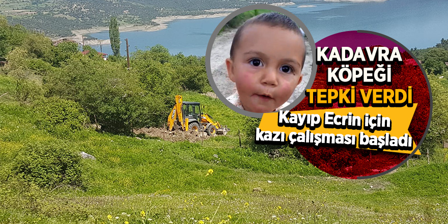 Kayıp Ecrin için evin yakınında kazı çalışması başladı 