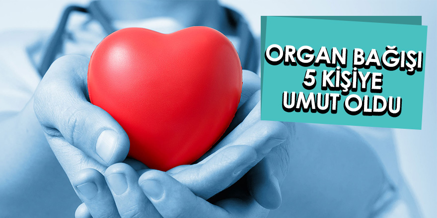 Bağışlanan organlar 5 kişiye umut oldu