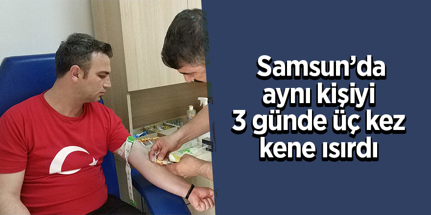 Samsun’da aynı kişiyi 3 günde üç kez kene ısırdı 