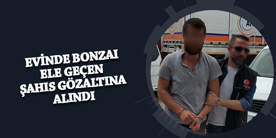  Evinde bonzai ele geçen şahıs gözaltına alındı