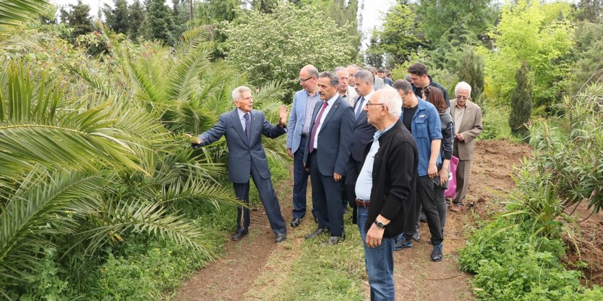 Samsun'da 100. yıl anısına Atatürk Botanik Orman Parkı